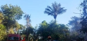 Corpo de Bombeiros age rápido e impede que incêndio em vegetação atinja casas