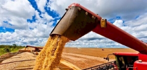 Agronegócio de Mato Grosso impulsiona economia brasileira em 2025