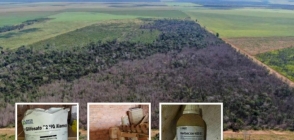 Liminar decreta bloqueio de R$ 5 milhões de fazendeiros em Feliz Natal