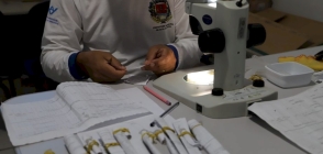 Alta Floresta reforça cuidados no combate ao Aedes aegypti durante o período chuvoso