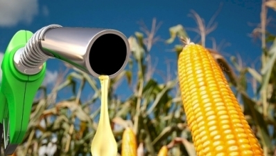 Etanol de milho se destaca e MT lidera na produção de biocombustível